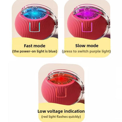 Interactive Cat & Dog Teaser Toy