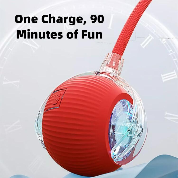 Interactive Cat & Dog Teaser Toy