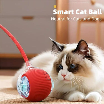Interactive Cat & Dog Teaser Toy