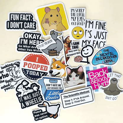 🔥Last Day Promotion!💡130PCS Funny Saying Sticker Pack - Snarky, Sarcastic Bold Humor Vinyl Waterproof Meme stickers for laptop